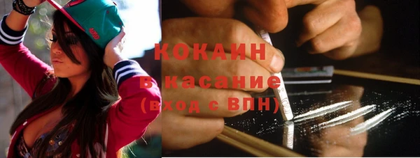 твердый Михайлов