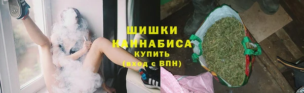 твердый Михайлов