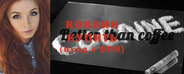 индика Михайловка