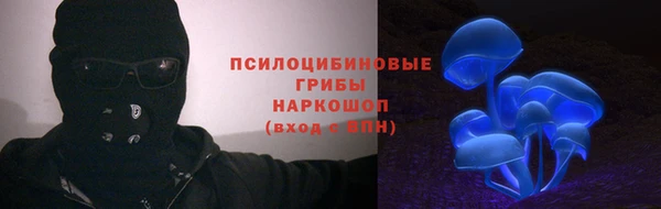 индика Михайловка