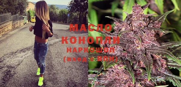 твердый Михайлов