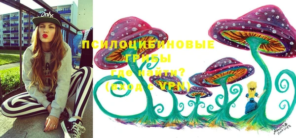 apvp Михайловск