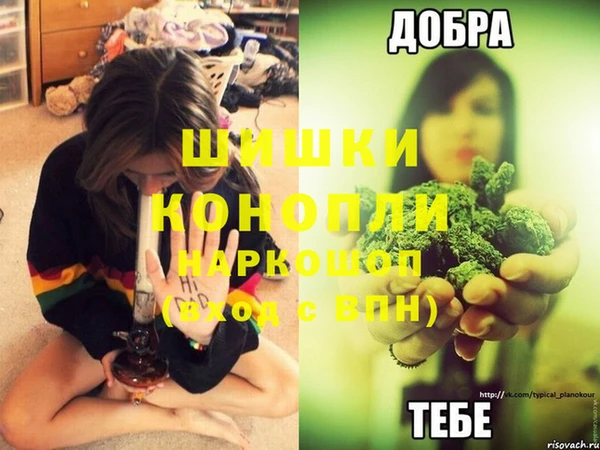 индика Михайловка