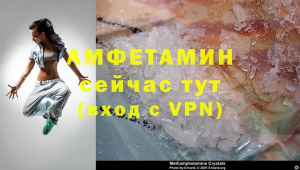 индика Михайловка