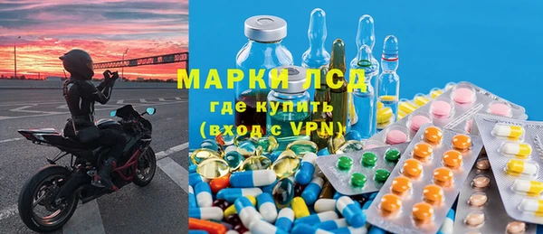 индика Михайловка