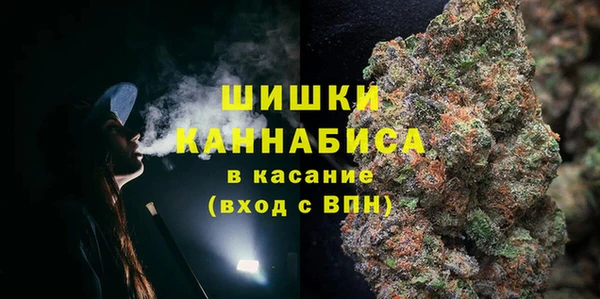 индика Михайловка