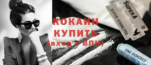 индика Михайловка