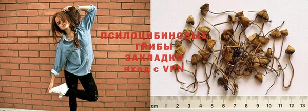 apvp Михайловск