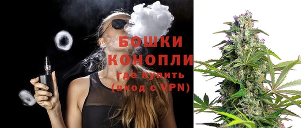 индика Михайловка