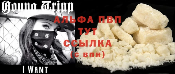 твердый Михайлов